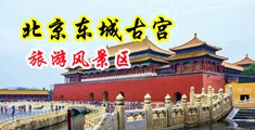 黑丝美女的小穴中国北京-东城古宫旅游风景区